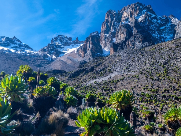 7fe11757e1be07f5cbf76acbbf423857 (1)