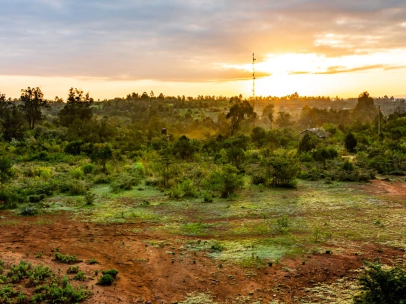 walking-tour-in-nanyuki-3-1536x864 (1)